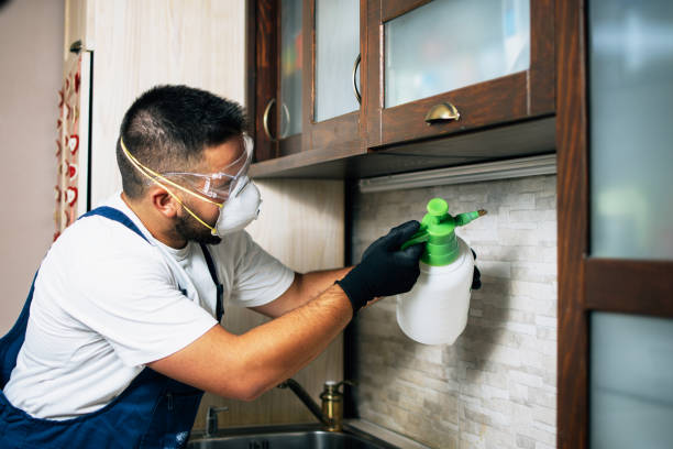 Trusted Dayton, TX Pest Control Experts