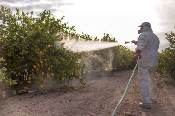 Best Emergency Pest Control  in Dayton, TX