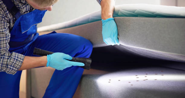Best Best Pest Control Companies  in Dayton, TX